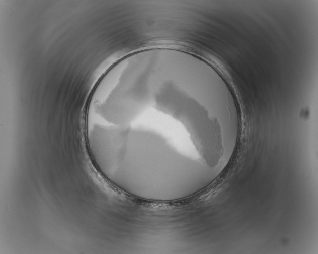 X0000114670907200911181204