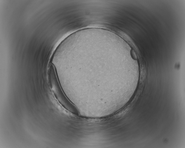 X0000114670908200911181204