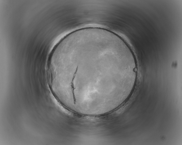 X0000114670910200911181204