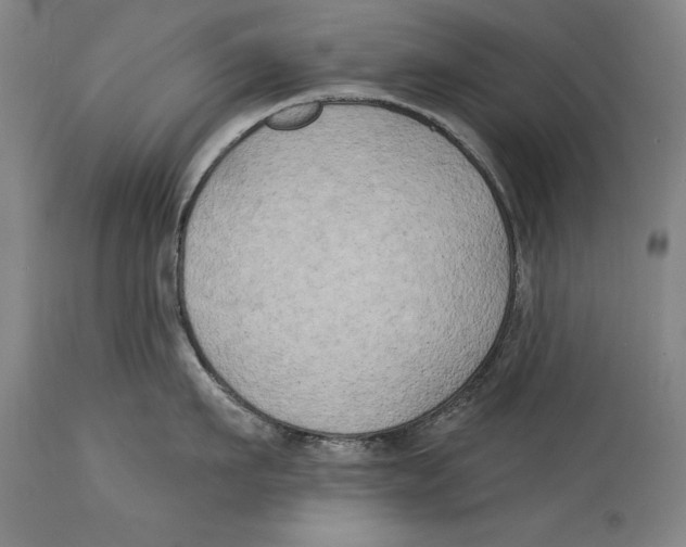 X0000114670911200911181204