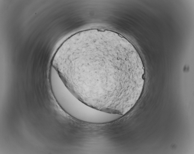 X0000114670912200911181204