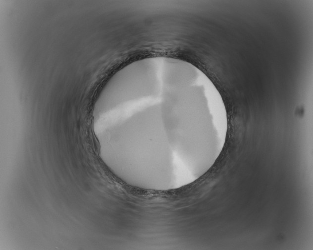 X0000114670913200911181203