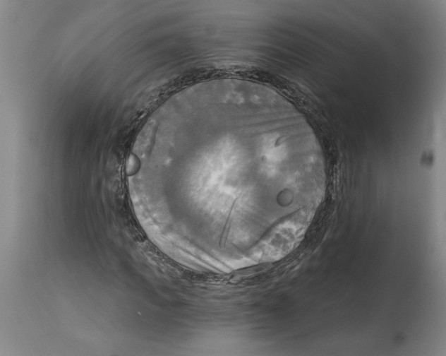 X0000114670917200911181203