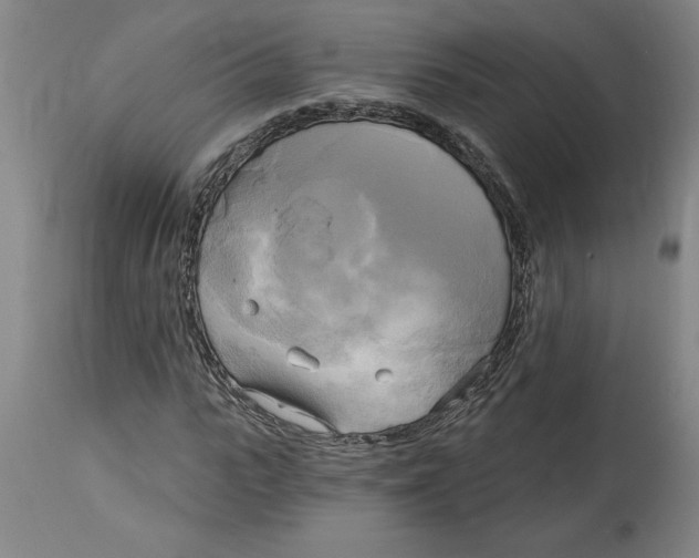 X0000114670919200911181203