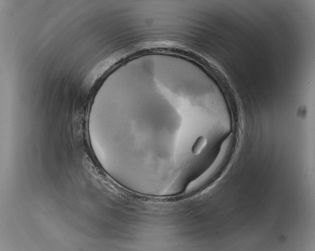 X0000114670921200911181203