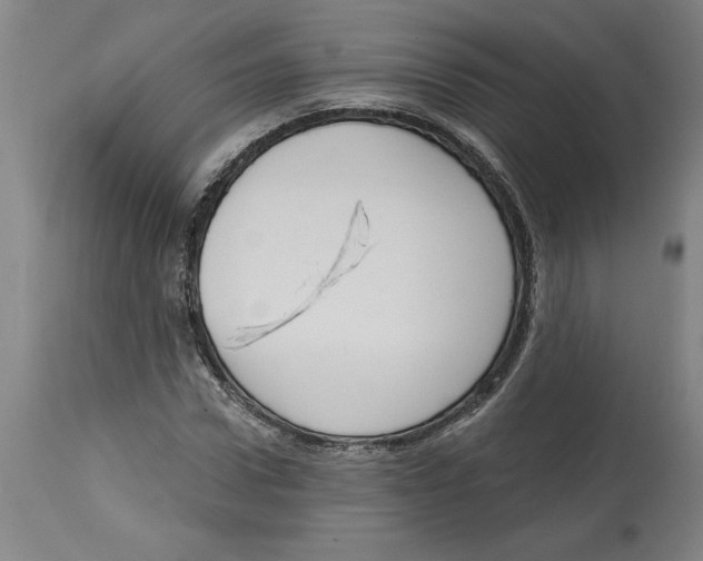 X0000114670922200911181204