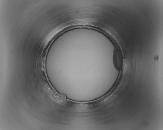 X0000114670925200911181204