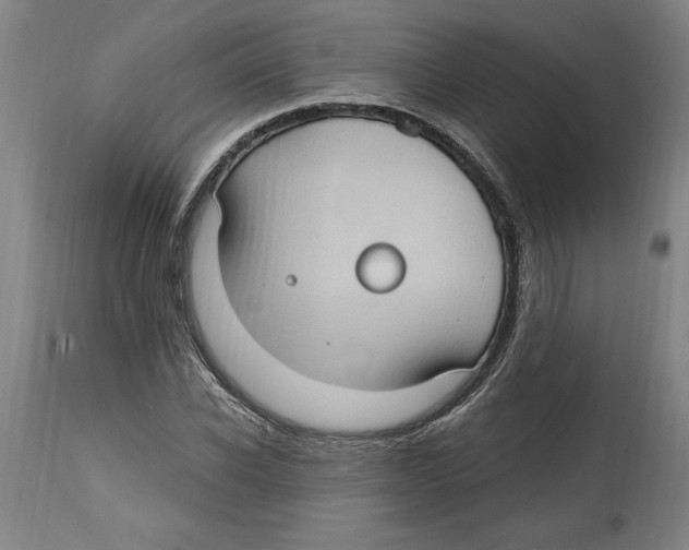 X0000114670926200911181204