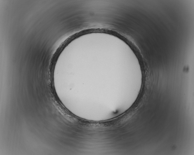 X0000114670927200911181204