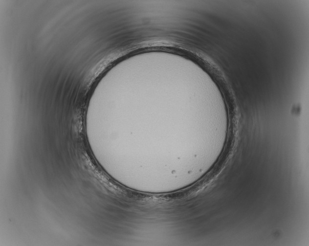 X0000114670929200911181204