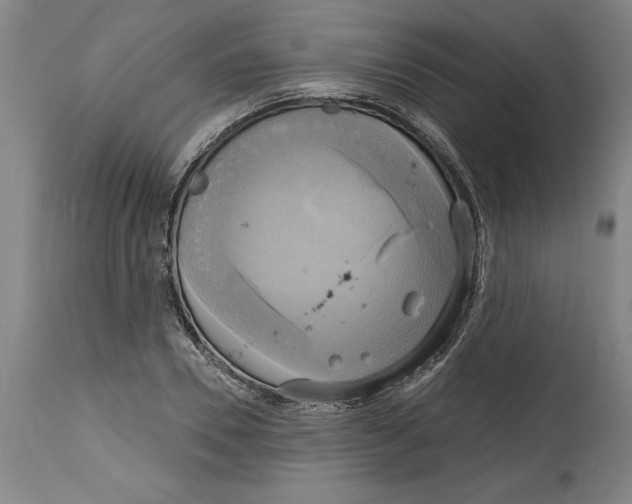 X0000114670930200911181204