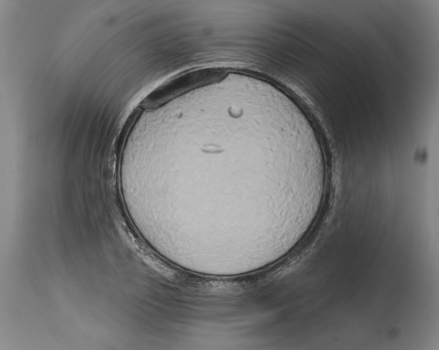 X0000114670933200911181204