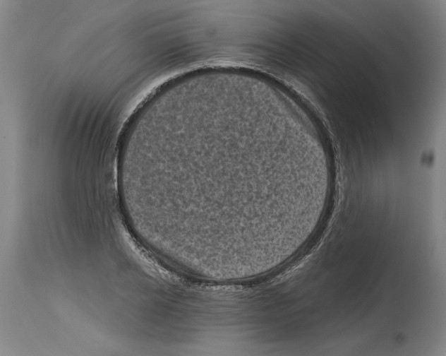 X0000114670934200911181204