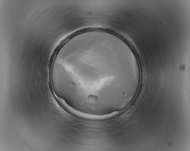 X0000114670935200911181204