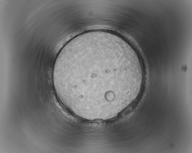 X0000114670937200911181204