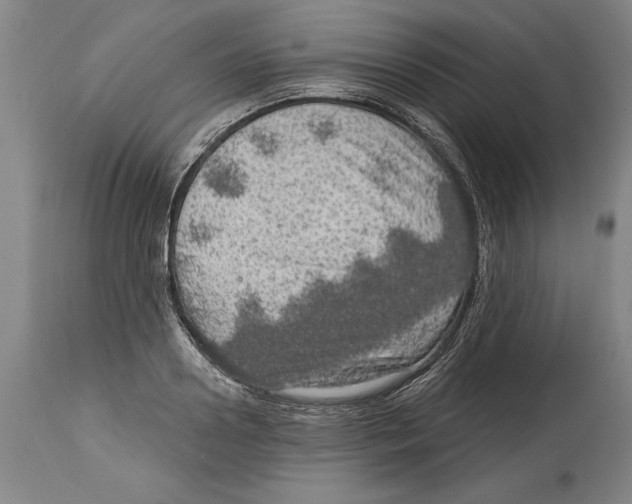 X0000114670938200911181204