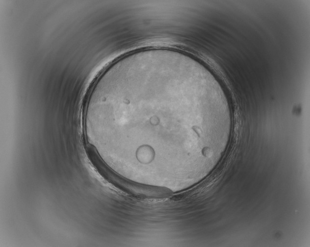 X0000114670939200911181204