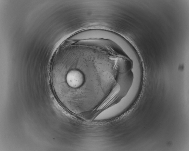 X0000114670941200911181204