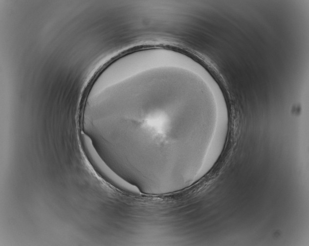 X0000114670943200911181204