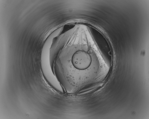 X0000114670945200911181204