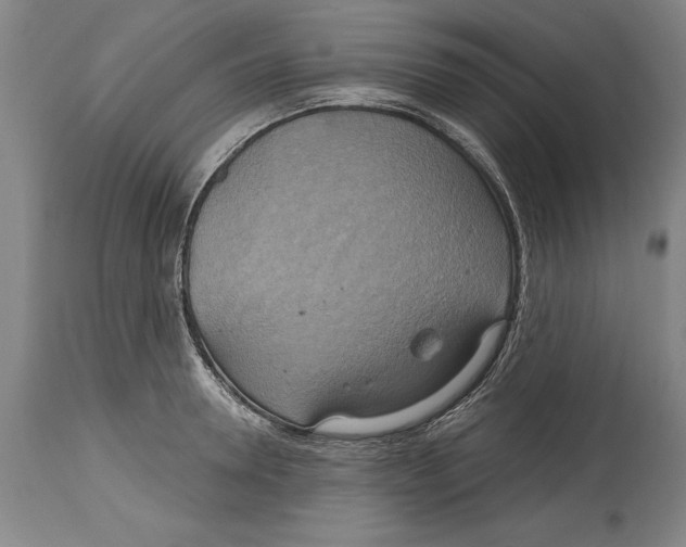 X0000114670946200911181204