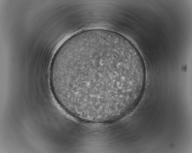 X0000114670949200911181204