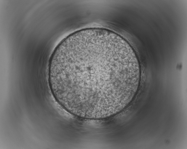 X0000114670950200911181204