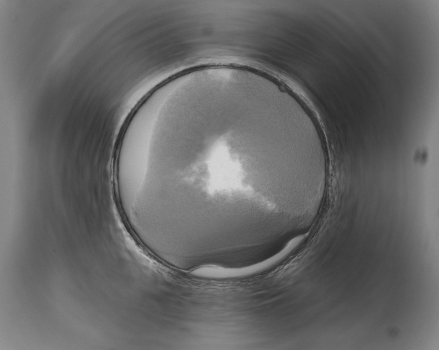 X0000114670951200911181204