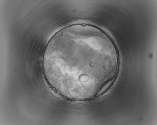 X0000114670953200911181204