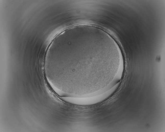 X0000114670954200911181204