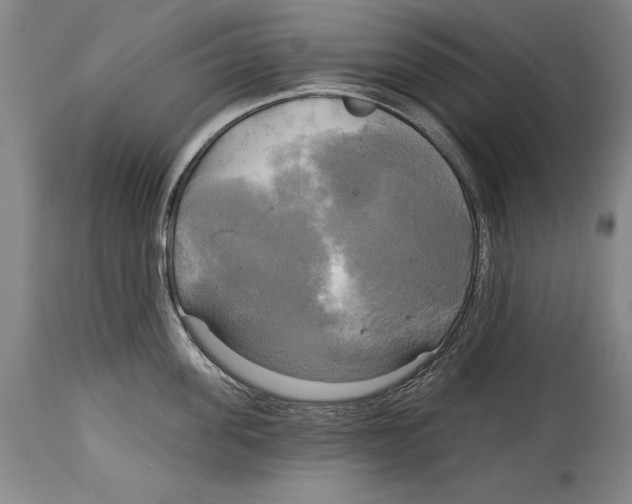 X0000114670955200911181204