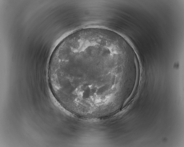 X0000114670957200911181204