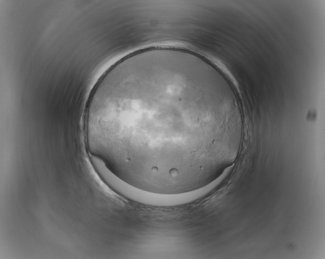 X0000114670959200911181204