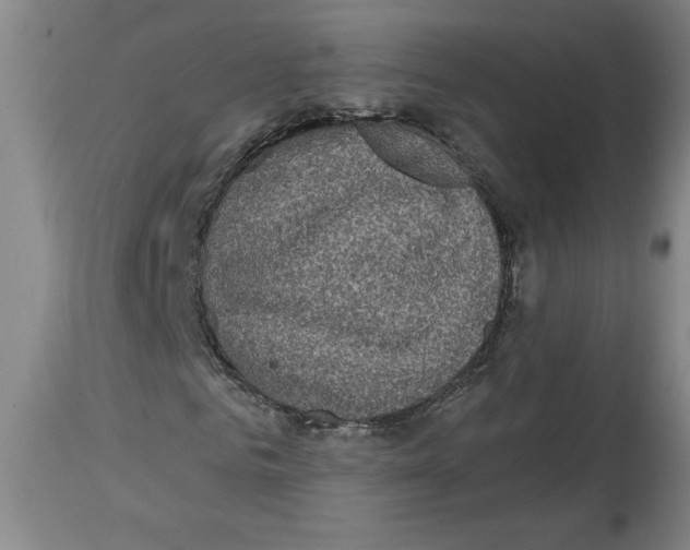 X0000114670961200911181203