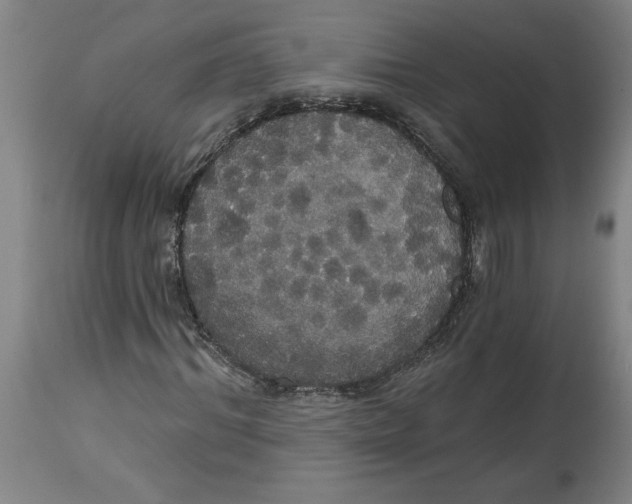 X0000114670964200911181203