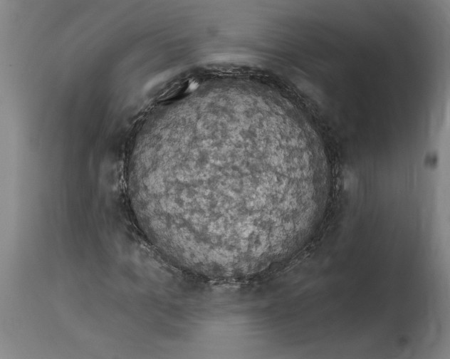 X0000114670965200911181203