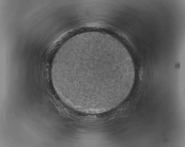 X0000114670968200911181203