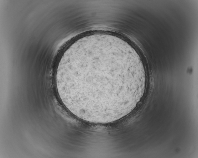 X0000114670971200911181203