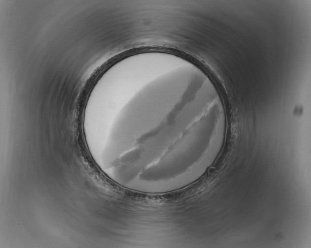 X0000114670975200911181203