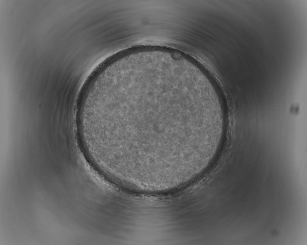 X0000114670976200911181203