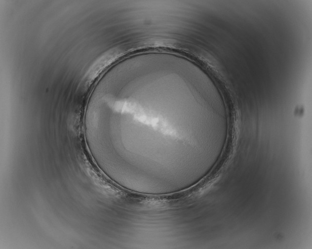 X0000114670977200911181203