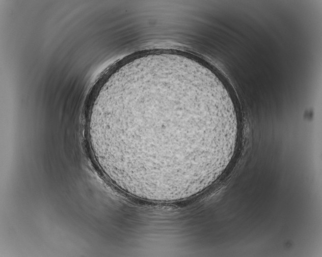 X0000114670979200911181203