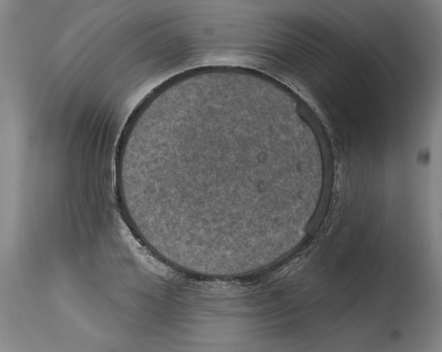 X0000114670980200911181203