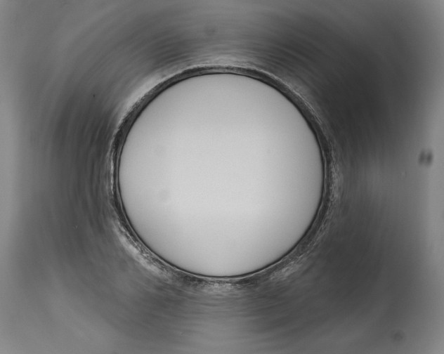 X0000114670982200911181203