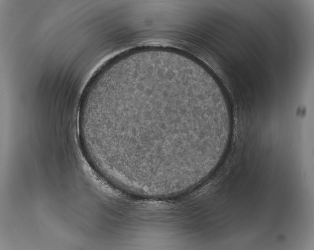 X0000114670984200911181203