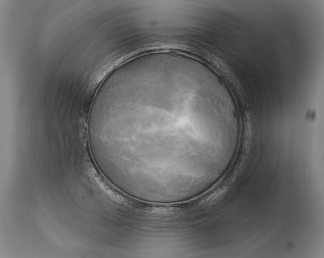 X0000114670985200911181203