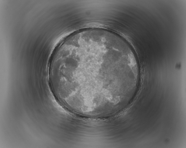 X0000114670987200911181203