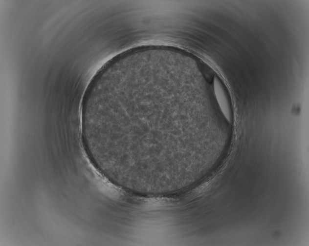 X0000114670988200911181203