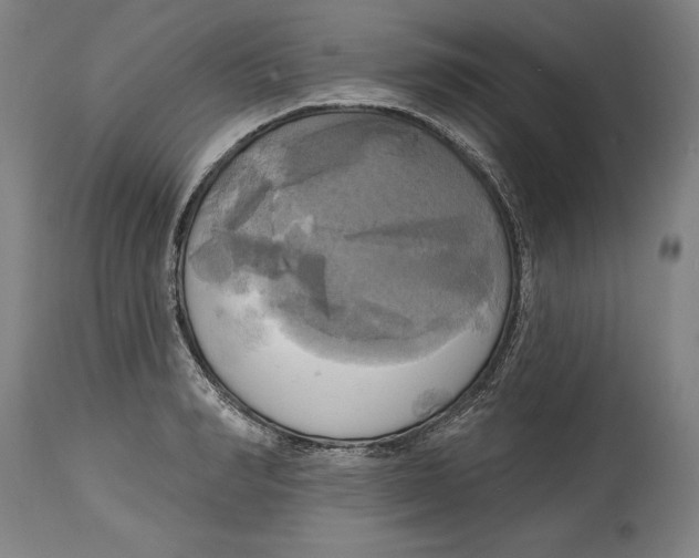 X0000114670990200911181203