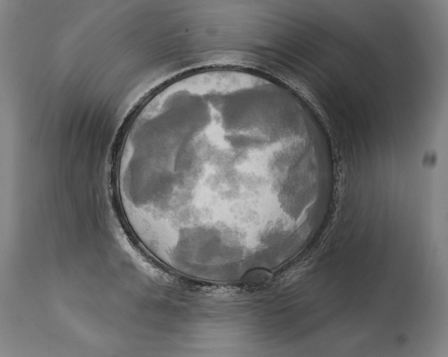 X0000114670991200911181203